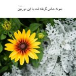 دوربین دیجیتال فوجی فیلم مدل X-E1 به همراه لنز XF18mm F/2.0 و کیف اورجینال چرمی